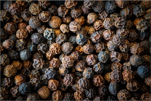 Premium spice export — INTRASER