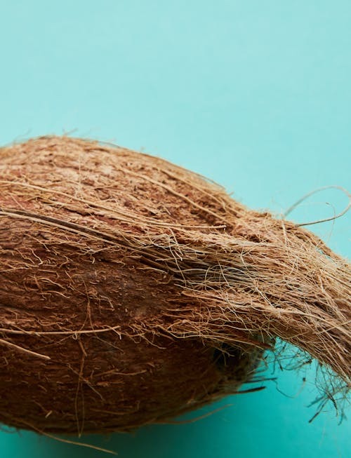 Coconut