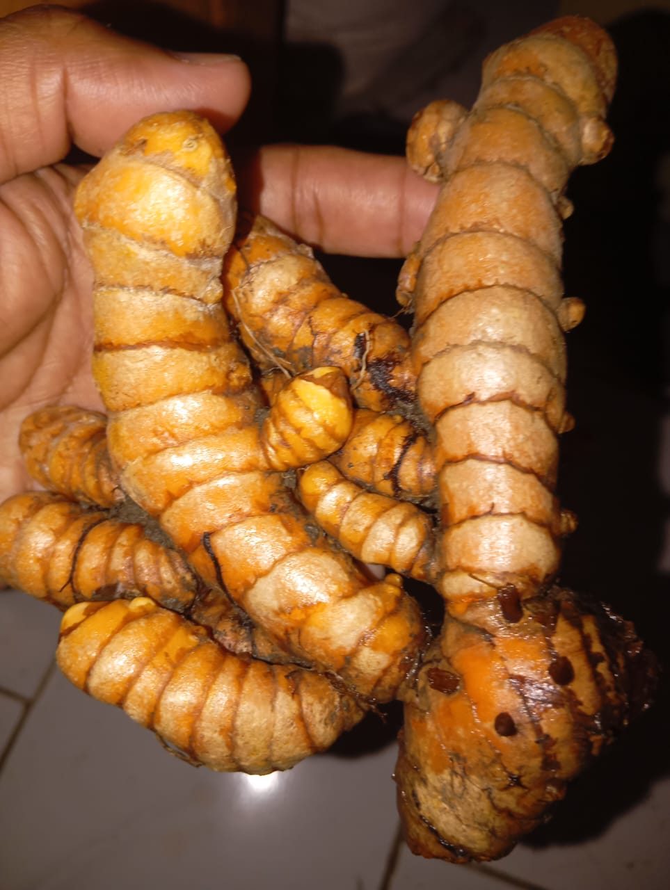 Turmeric