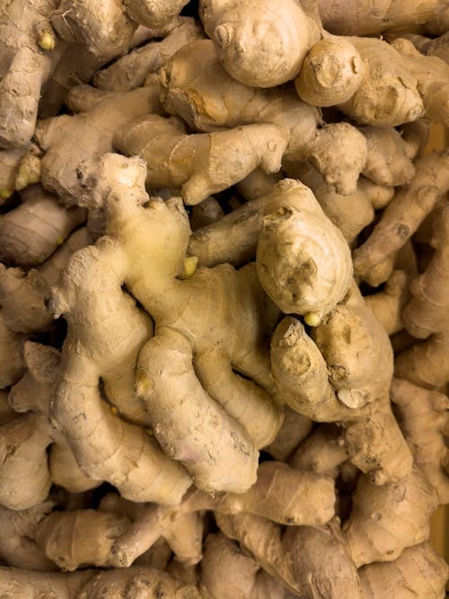 Ginger — INTRASER export